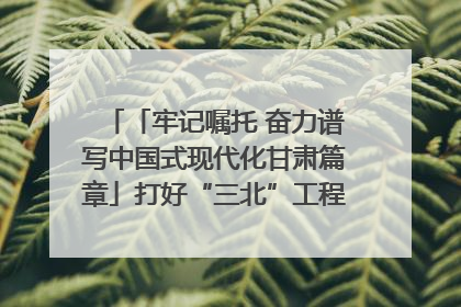 「牢记嘱托 奋力谱写中国式现代化甘肃篇章」打好“三北”工程攻坚战 筑牢国家西部生态安全屏障