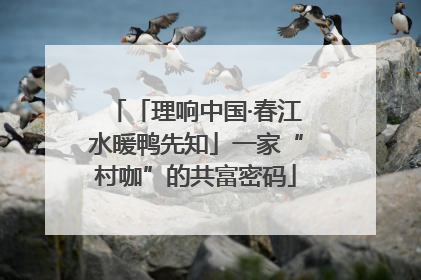 「理响中国·春江水暖鸭先知」一家“村咖”的共富密码