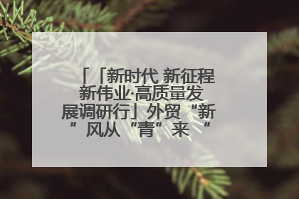 「新时代 新征程 新伟业·高质量发展调研行」外贸“新”风从“青”来 “双向奔赴”启新程