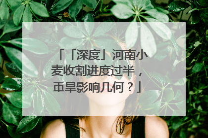 「深度」河南小麦收割进度过半，重旱影响几何？