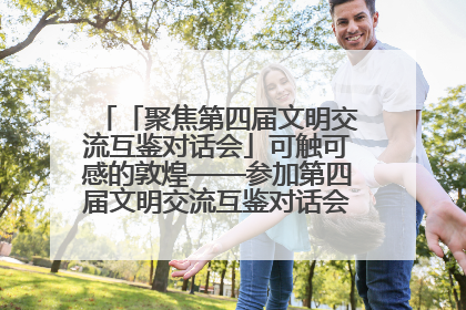 「聚焦第四届文明交流互鉴对话会」可触可感的敦煌——参加第四届文明交流互鉴对话会的外宾参观上元市集