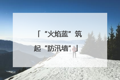 “火焰蓝”筑起“防汛墙”