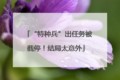 “特种兵”出任务被截停！结局太意外