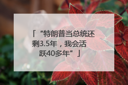 “特朗普当总统还剩3.5年，我会活跃40多年”