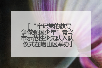 “牢记党的教导 争做强国少年”青岛市示范性少先队入队仪式在崂山区举办