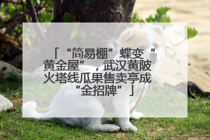 “简易棚”蝶变“黄金屋”，武汉黄陂火塔线瓜果售卖亭成“金招牌”