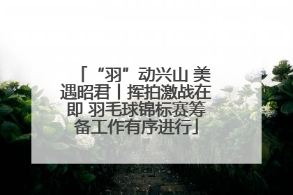 “羽”动兴山 美遇昭君丨挥拍激战在即 羽毛球锦标赛筹备工作有序进行