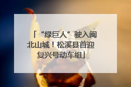 “绿巨人”驶入闽北山城！松溪县首迎复兴号动车组