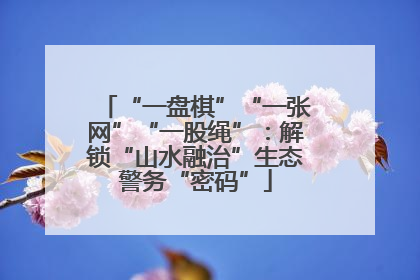 “一盘棋”“一张网”“一股绳”：解锁“山水融治”生态警务“密码”