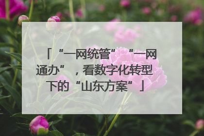 “一网统管”“一网通办”，看数字化转型下的“山东方案”