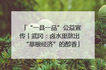 “一县一品”公益宣传丨武冈：卤水里熬出“草根经济”的醇香