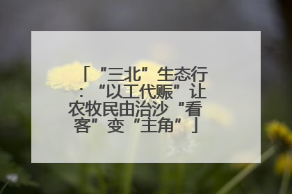 “三北”生态行：“以工代赈”让农牧民由治沙“看客”变“主角”