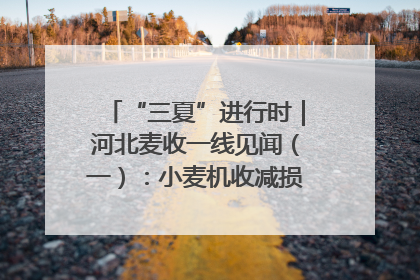 “三夏”进行时｜河北麦收一线见闻（一）：小麦机收减损“竞技” 农机高手麦田“过招”