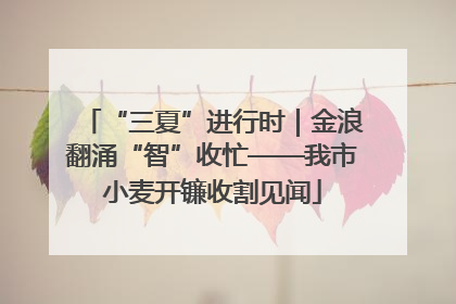 “三夏”进行时｜金浪翻涌“智”收忙——我市小麦开镰收割见闻