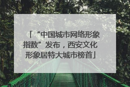 “中国城市网络形象指数”发布，西安文化形象居特大城市榜首