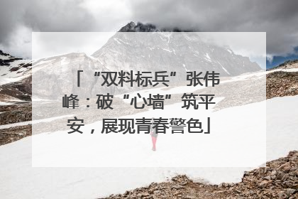 “双料标兵”张伟峰：破“心墙”筑平安，展现青春警色