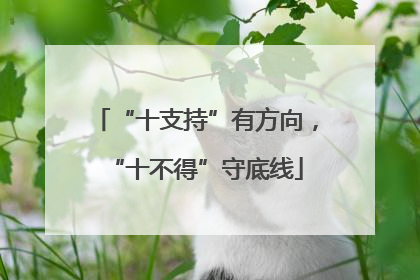 “十支持”有方向，“十不得”守底线