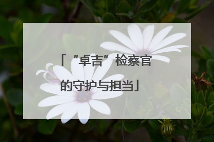 “卓吉”检察官的守护与担当