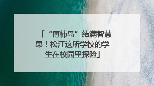 “博柿岛”结满智慧果！松江这所学校的学生在校园里探险