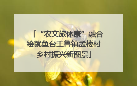 “农文旅体康”融合绘就鱼台王鲁镇孟楼村乡村振兴新图景