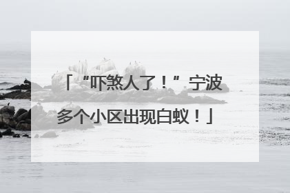 “吓煞人了！”宁波多个小区出现白蚁！