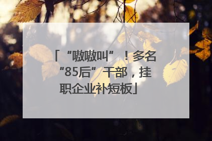 “嗷嗷叫”！多名“85后”干部，挂职企业补短板