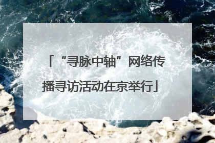 “寻脉中轴”网络传播寻访活动在京举行