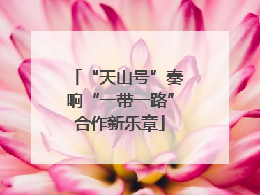 “天山号”奏响“一带一路”合作新乐章