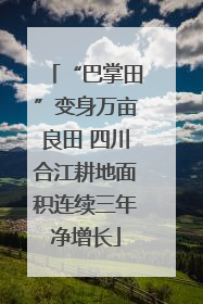 “巴掌田”变身万亩良田 四川合江耕地面积连续三年净增长