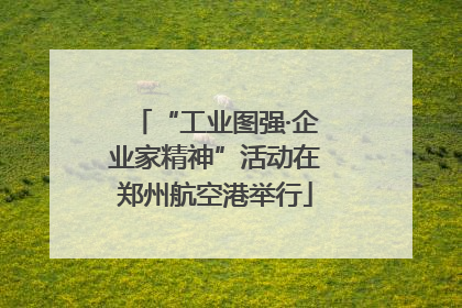 “工业图强·企业家精神”活动在郑州航空港举行