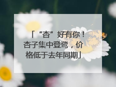 “杏”好有你！杏子集中登鹭，价格低于去年同期