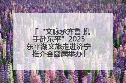 “文脉承齐鲁 携手赴东平”2025东平湖文旅走进济宁推介会圆满举办
