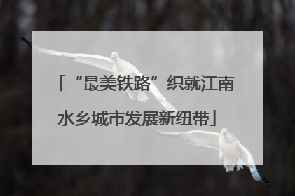 “最美铁路”织就江南水乡城市发展新纽带