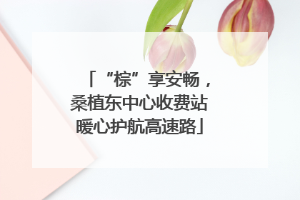 “棕”享安畅，桑植东中心收费站暖心护航高速路