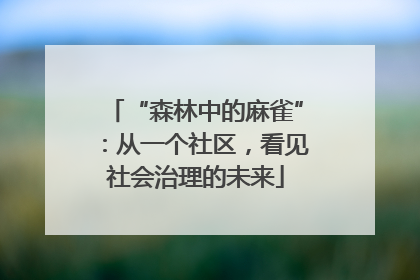 “森林中的麻雀”：从一个社区，看见社会治理的未来