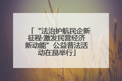 “法治护航民企新征程·激发民营经济新动能”公益普法活动在昆举行
