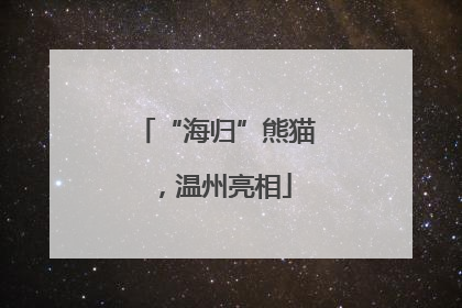 “海归”熊猫，温州亮相
