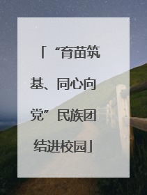 “育苗筑基、同心向党”民族团结进校园