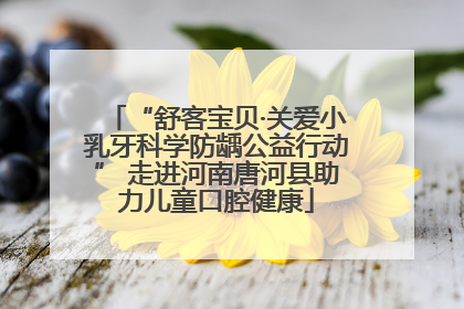 “舒客宝贝·关爱小乳牙科学防龋公益行动” 走进河南唐河县助力儿童口腔健康