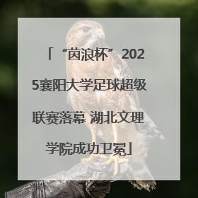 “茵浪杯”2025襄阳大学足球超级联赛落幕 湖北文理学院成功卫冕