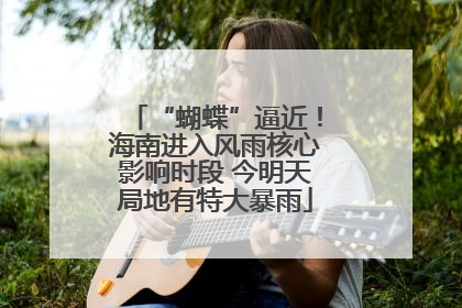 “蝴蝶”逼近！海南进入风雨核心影响时段 今明天局地有特大暴雨