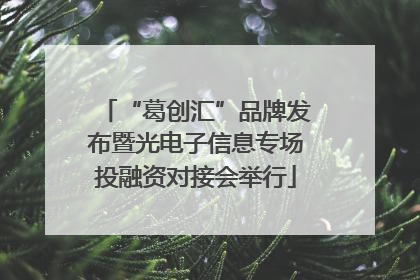 “葛创汇”品牌发布暨光电子信息专场投融资对接会举行