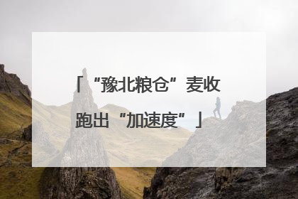 “豫北粮仓”麦收跑出“加速度”