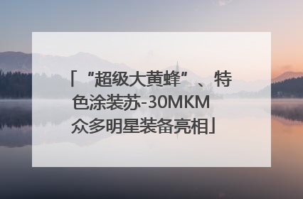 “超级大黄蜂”、特色涂装苏-30MKM 众多明星装备亮相