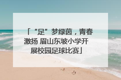 “足”梦绿茵，青春激扬 眉山东坡小学开展校园足球比赛