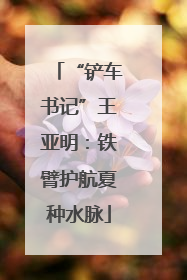 “铲车书记”王亚明：铁臂护航夏种水脉