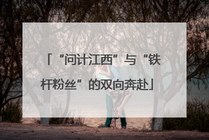 “问计江西”与“铁杆粉丝”的双向奔赴