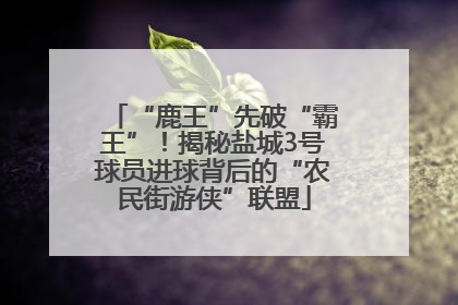 “鹿王”先破“霸王”！揭秘盐城3号球员进球背后的“农民街游侠”联盟