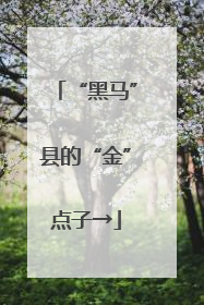 “黑马”县的“金”点子→