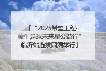 “2025希望工程·蒙牛足球未来星公益行”临沂站选拔圆满举行